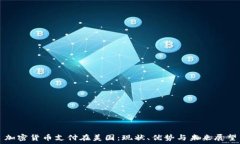   加密貨幣支付在美國：現(xiàn)狀、優(yōu)勢與未來展望