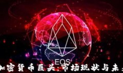 中國加密貨幣巨頭：市場現(xiàn)狀與未來展望